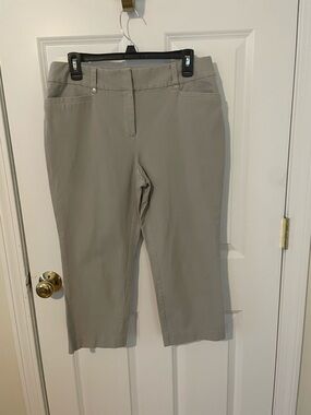 Alfani Light Taupe Capris Pants